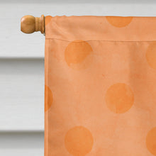 Load image into Gallery viewer, Sunglasses Orange Polkadot Flag Canvas House Size BB8178CHF