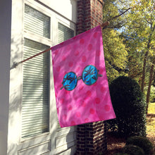 Load image into Gallery viewer, Sunglasses Pink Polkadot Flag Canvas House Size BB8179CHF