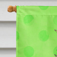 Load image into Gallery viewer, Pineapple Green Polkadot Flag Canvas House Size BB8190CHF