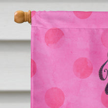 Load image into Gallery viewer, Beach Sunglasses Pink Polkadot Flag Canvas House Size BB8209CHF