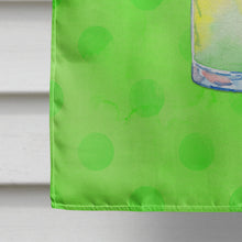 Load image into Gallery viewer, Umberella Cocktail Green Polkadot Flag Canvas House Size BB8210CHF