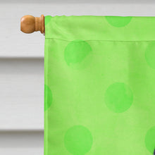 Load image into Gallery viewer, Sea Gull Green Polkadot Flag Canvas House Size BB8225CHF