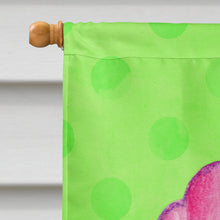Load image into Gallery viewer, Pink Sea Shell Green Polkadot Flag Canvas House Size BB8240CHF
