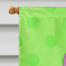 Load image into Gallery viewer, Flamingo Floaty Green Polkadot Flag Canvas House Size BB8255CHF