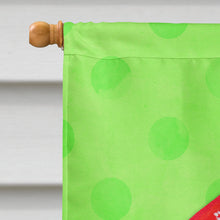 Load image into Gallery viewer, Crab Green Polkadot Flag Canvas House Size BB8265CHF