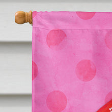 Load image into Gallery viewer, Crab Pink Polkadot Flag Canvas House Size BB8269CHF