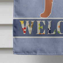 Load image into Gallery viewer, Irish Terrier Welcome Flag Canvas House Size BB8276CHF