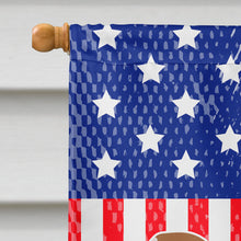Load image into Gallery viewer, American Foxhound American Flag Canvas House Size BB8352CHF