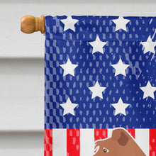 Load image into Gallery viewer, Irish Terrier American Flag Canvas House Size BB8357CHF