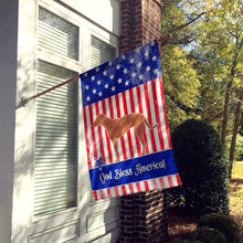 Load image into Gallery viewer, Rhodesian Ridgeback American Flag Canvas House Size BB8358CHF