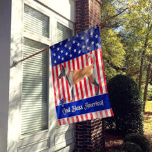 Load image into Gallery viewer, Malinois American Flag Canvas House Size BB8380CHF