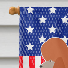 Load image into Gallery viewer, Royal Poodle American Flag Canvas House Size BB8392CHF