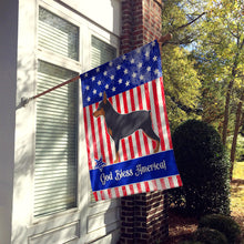 Load image into Gallery viewer, Miniature Pinscher American Flag Canvas House Size BB8404CHF