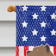 Load image into Gallery viewer, Perro de Presa Canario American Flag Canvas House Size BB8420CHF