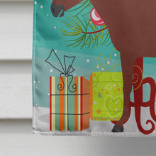 Load image into Gallery viewer, Hinny Horse Donkey Christmas Flag Canvas House Size BB9217CHF