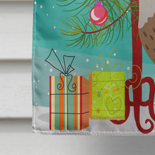 Load image into Gallery viewer, Dutch Hook Bill Duck Christmas Flag Canvas House Size BB9228CHF