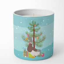 Load image into Gallery viewer, Saxony Sachsenente Duck Christmas 10 oz Decorative Soy Candle