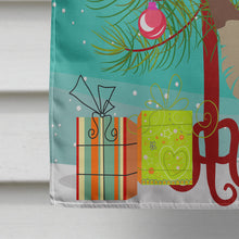 Load image into Gallery viewer, Vicugna or Vicuna Christmas Flag Canvas House Size BB9284CHF