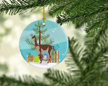 Load image into Gallery viewer, Vicugna or Vicuna Christmas Ornament - Round Ceramic Ornament – Artist-Designed Keepsake Decoration BB9284CO1