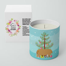 Load image into Gallery viewer, Hungarian Mangalica Pig Christmas 10 oz Decorative Soy Candle