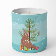 Load image into Gallery viewer, African Owl Pigeon Christmas 10 oz Decorative Soy Candle