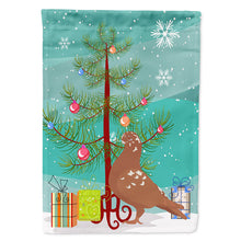 Load image into Gallery viewer, African Owl Pigeon Christmas Flag Canvas House Size BB9320CHF
