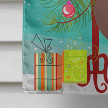 Load image into Gallery viewer, English Pouter Pigeon Christmas Flag Canvas House Size BB9321CHF
