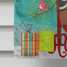 Load image into Gallery viewer, Chinese Painted or King Quail Christmas Flag Canvas House Size BB9323CHF