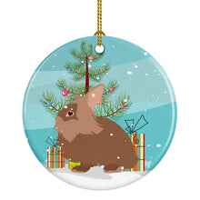 Load image into Gallery viewer, Lionhead Rabbit Christmas Ornament - Round Ceramic Ornament – Artist-Designed Keepsake Decoration BB9327CO1