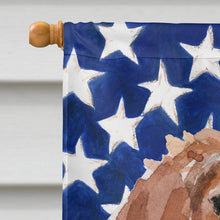 Load image into Gallery viewer, Brittany Spaniel Patriotic Flag Canvas House Size BB9364CHF