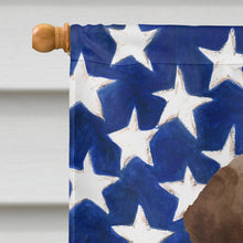 Load image into Gallery viewer, Chocolate Labrador Patriotic Flag Canvas House Size BB9365CHF