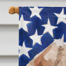 Load image into Gallery viewer, Wire Hair Jack Russell Patriotic Flag Canvas House Size BB9368CHF