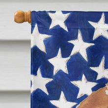 Load image into Gallery viewer, Beagle Patriotic Flag Canvas House Size BB9369CHF