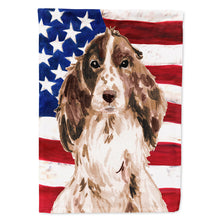 Load image into Gallery viewer, Brown Parti Patriotic Flag Canvas House Size BB9377CHF