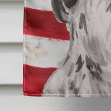 Load image into Gallery viewer, Black Parti Patriotic Flag Canvas House Size BB9378CHF