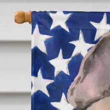 Load image into Gallery viewer, Fawn French Bulldog Patriotic Flag Canvas House Size BB9382CHF
