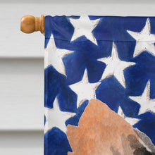 Load image into Gallery viewer, Long Haired Chihuahua Patriotic Flag Canvas House Size BB9389CHF