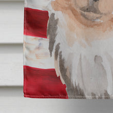 Load image into Gallery viewer, Long Haired Chihuahua Patriotic Flag Canvas House Size BB9389CHF