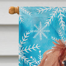 Load image into Gallery viewer, Blenheim Cavalier Spaniel Winter Flag Canvas House Size BB9428CHF