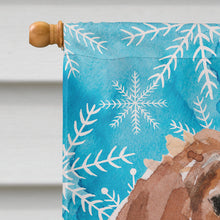 Load image into Gallery viewer, Brittany Spaniel Winter Flag Canvas House Size BB9434CHF
