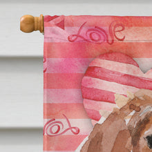Load image into Gallery viewer, Brittany Spaniel Love Flag Canvas House Size BB9469CHF