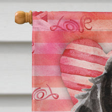 Load image into Gallery viewer, Black Parti Love Flag Canvas House Size BB9483CHF