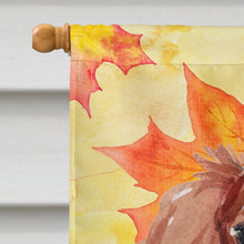 Load image into Gallery viewer, Blenheim Cavalier Spaniel Fall Flag Canvas House Size BB9498CHF