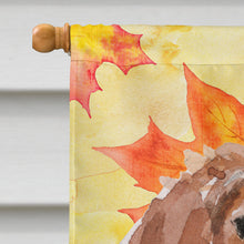 Load image into Gallery viewer, Brittany Spaniel Fall Flag Canvas House Size BB9504CHF