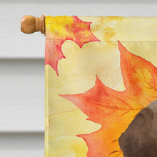 Load image into Gallery viewer, Chocolate Labrador Fall Flag Canvas House Size BB9505CHF
