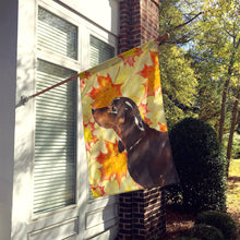Load image into Gallery viewer, Black and Tan Dachshund Fall Flag Canvas House Size BB9510CHF