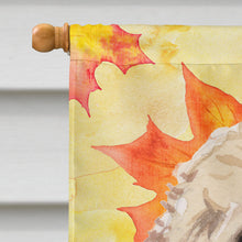 Load image into Gallery viewer, Champagne Cockapoo Fall Flag Canvas House Size BB9515CHF