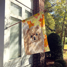 Load image into Gallery viewer, Pomeranian Fall Flag Canvas House Size BB9530CHF