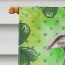 Load image into Gallery viewer, Staffordshire Bull Terrier St. Patrick's Flag Canvas House Size BB9535CHF