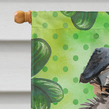 Load image into Gallery viewer, Australian Shepherd St. Patrick's Flag Canvas House Size BB9537CHF